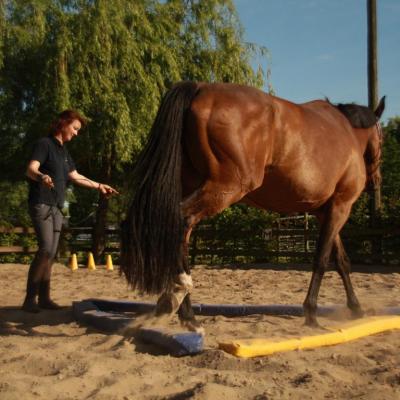 Dualaktiverung für die Koordination