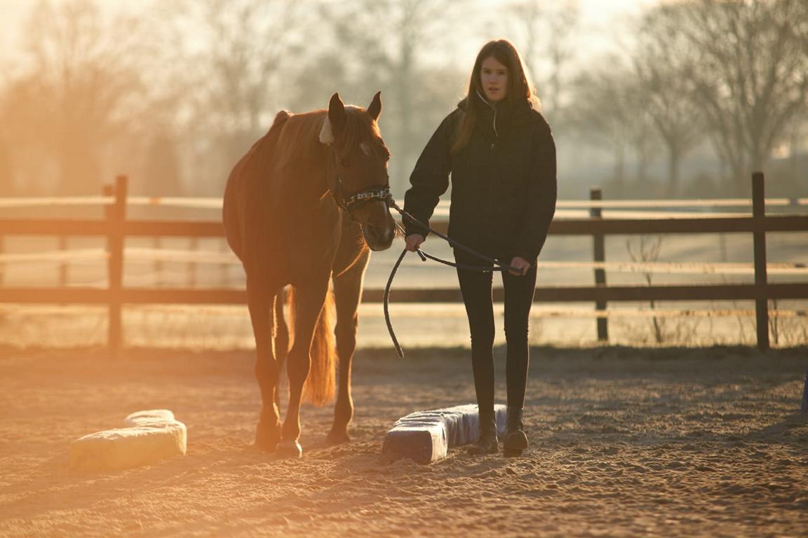 Equi Classic Work & EquiGym